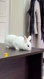 Корейский автомобиль после ДТП: личный опыт восстановления и эксплуатации